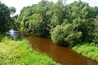 Musė šalia Musninkų