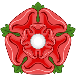 Rožių karai