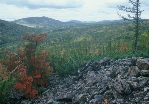 Verchojansko kalnagūbris
