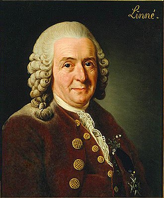 Karlas Linėjus