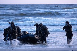 Kovinių narų tarnyba