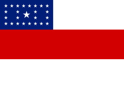 Amazonė (Brazilija)